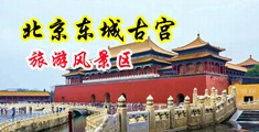 白虎嫩穴视频尺度大奶子大中国北京-东城古宫旅游风景区